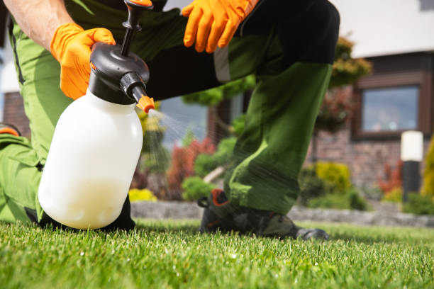 Flea Control Services in Dodge Center, MN