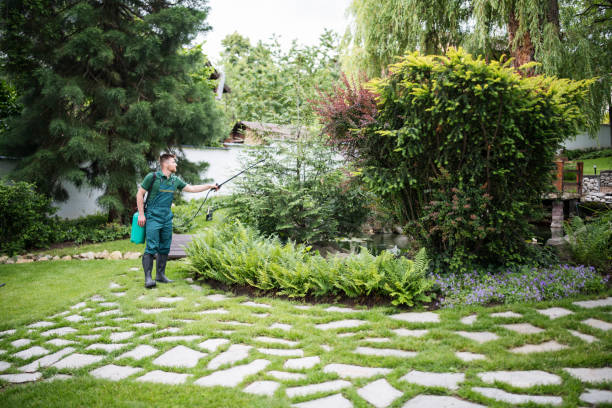 Best Affordable Pest Control Services  in Dodge Center, MN
