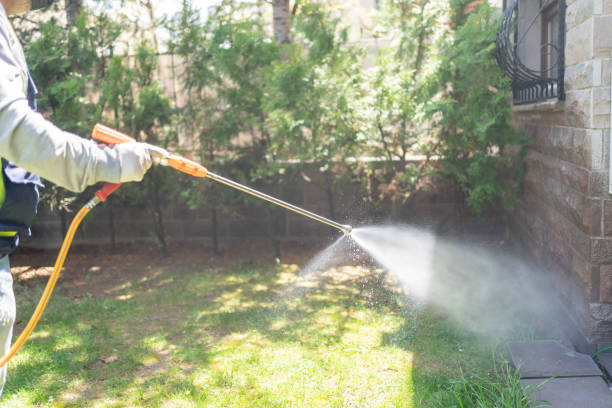 Best Wasp Removal Services  in Dodge Center, MN