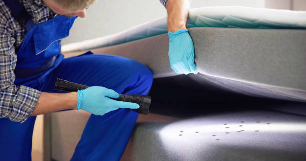 Best Residential Pest Control  in Dodge Center, MN