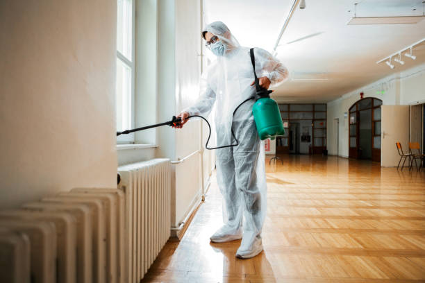 Best Flea Control Services  in Dodge Center, MN